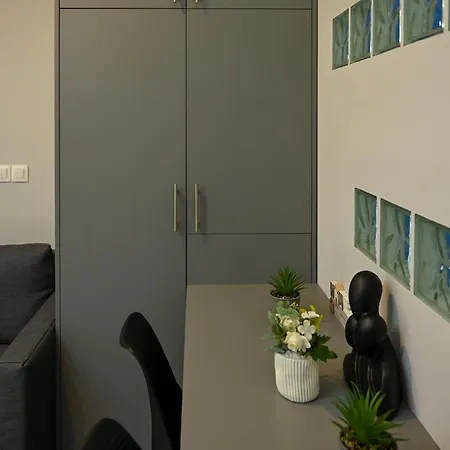 アパート Downtown Luxury